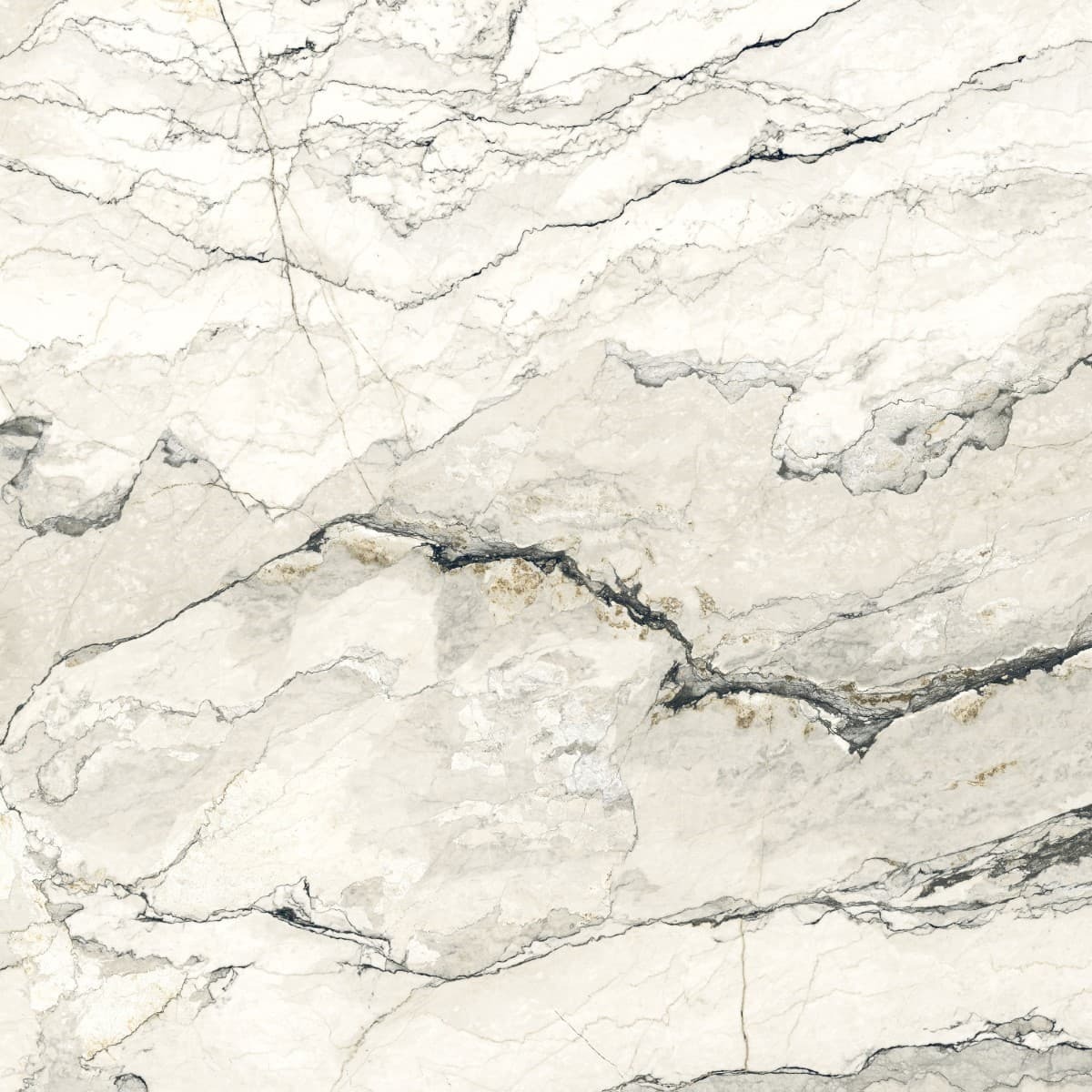 Dlažba Argenta Lunare breccia 120x120 cm leštěná LUNARE120 Argenta