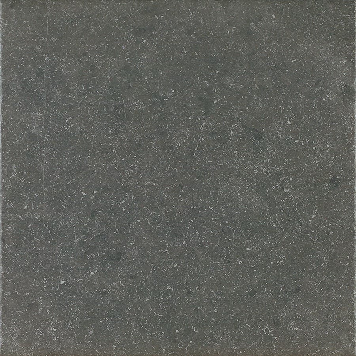 Dlažba Del Conca Blue Qarry nero 60x60 cm protiskluz S9BQ08 Del Conca